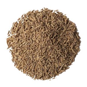 Cumin seeds